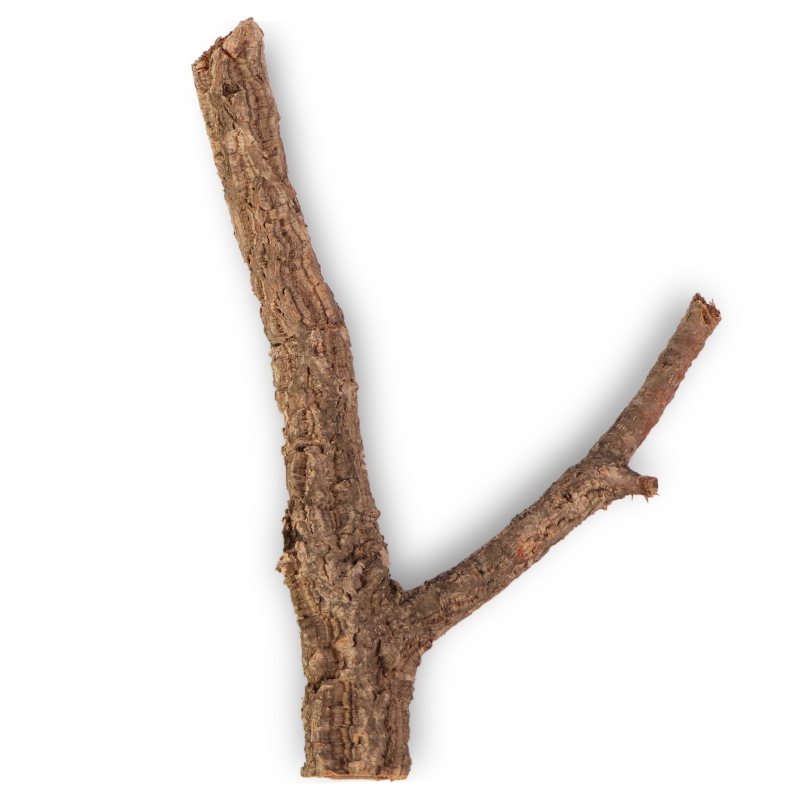 Solid Cork Oak Tree 40cm - Great for Reptiles